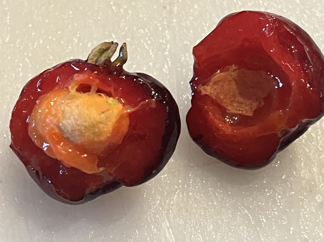 B5078606-689F-451A-9A6F-B1AE41892C7E