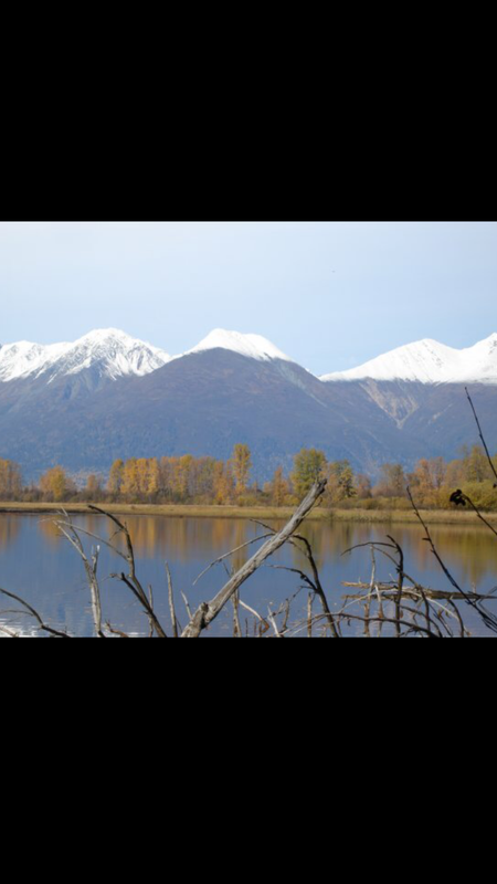 C5BA24BD-EEF0-4992-9243-50834CE8A3AD