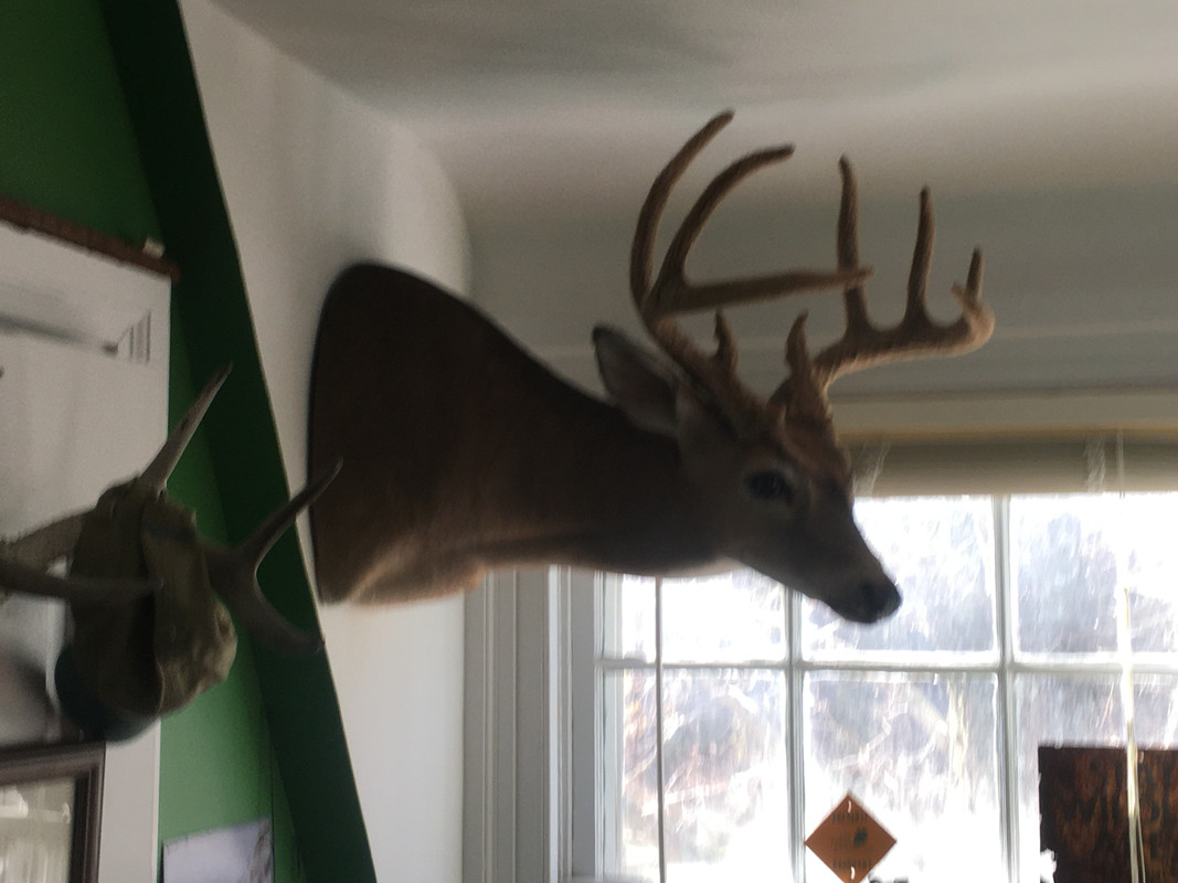 6C386F6E-47DC-4A3C-A5C6-7CB65D004849