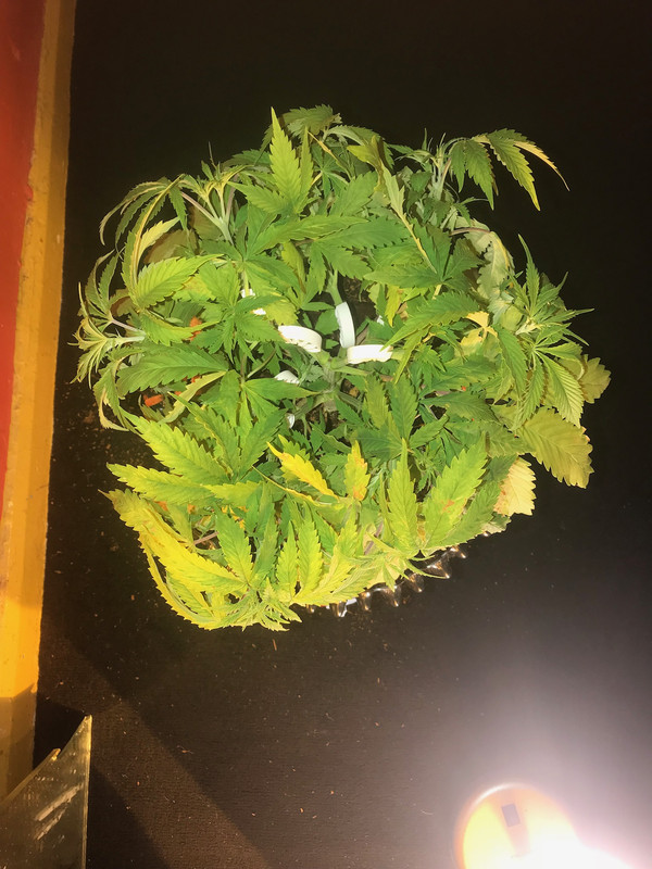 EBBDB9B9-4596-4CBF-BC4E-8724D9AB38CA