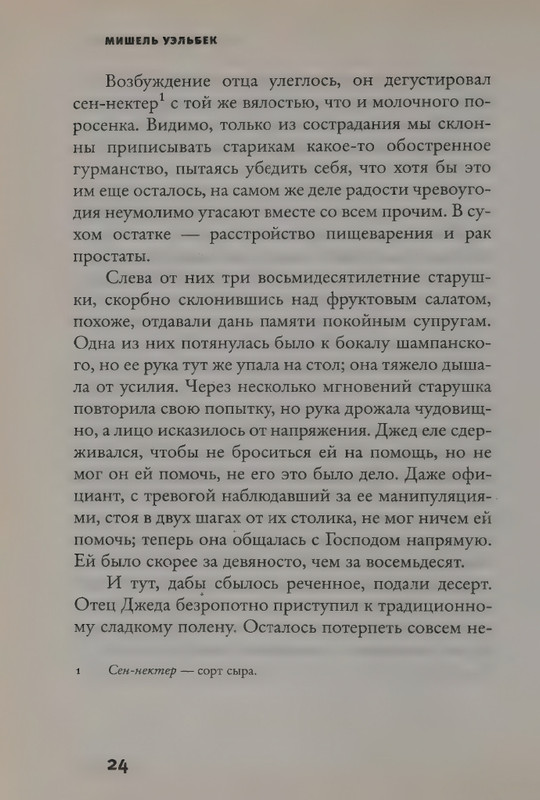 Uelbek-Mishel-Karta-i-territorija-page-0028
