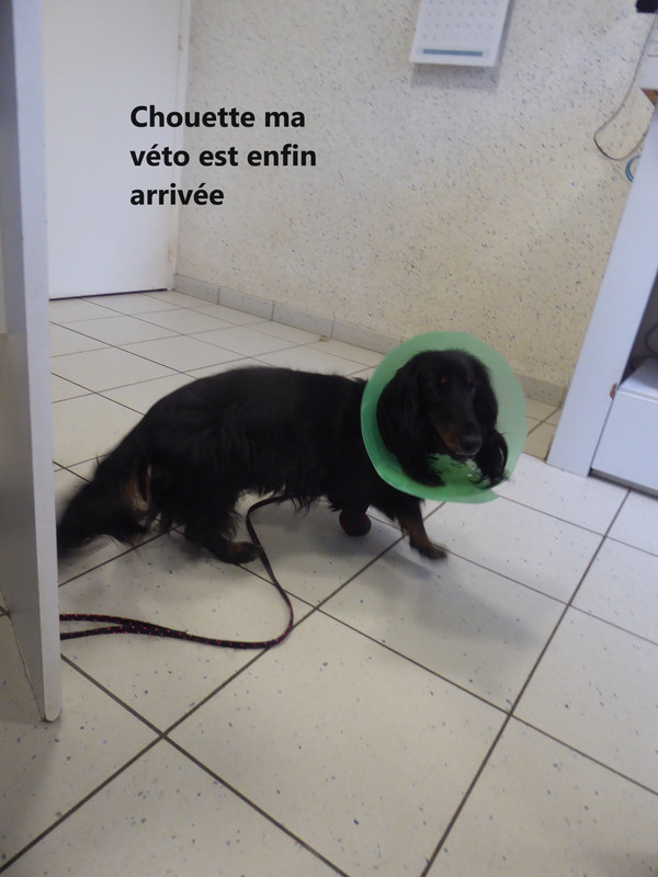 [Image: P1030976.jpg]