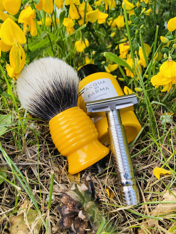 SOTD_20210605.jpg