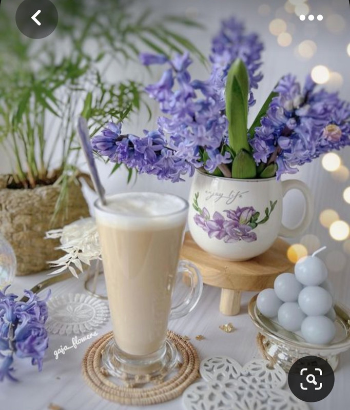 Screenshot_20230623_225612_Pinterest