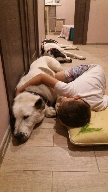 IMG-b38d576edaa7a34e1dcf084c20445684-V