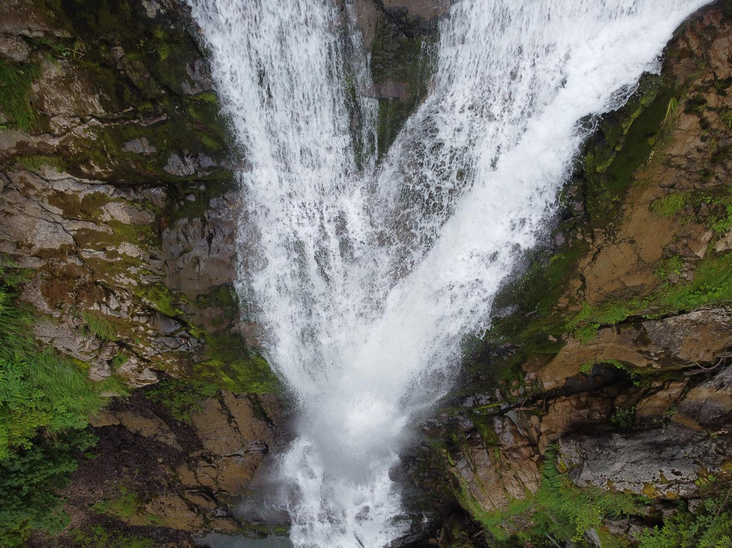 Huyendo del COVID a los Alpes (2020) - Blogs de Suiza - De casa a Grindelwald (Zona de Interlaken) (50)