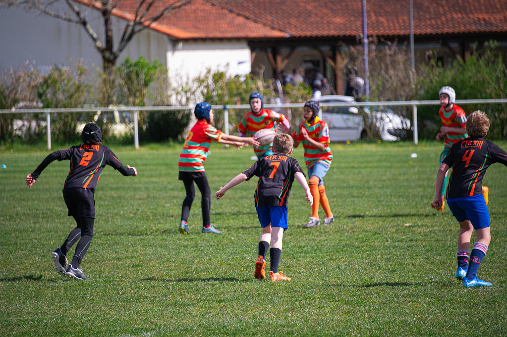 tournoi-de-latlantique-2026-adonis-griffon-18-55181550139-l