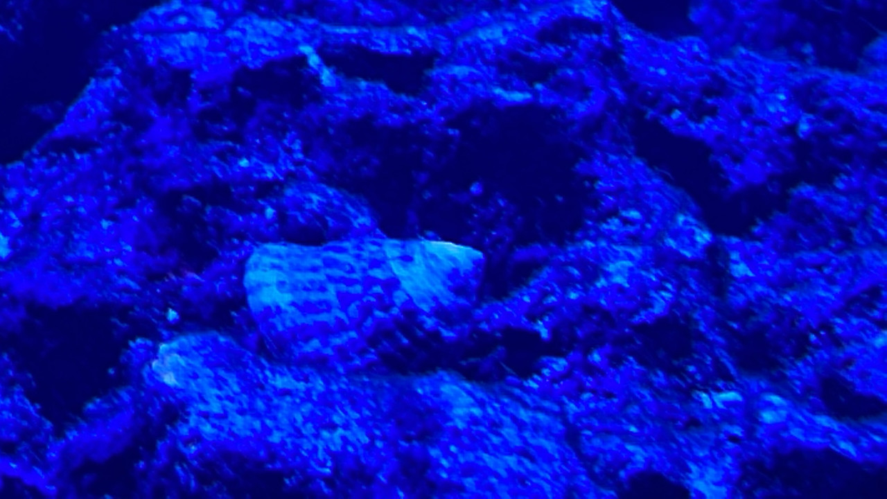 9DF2B7DF-8F35-43D2-88A7-50DA9AB42E84