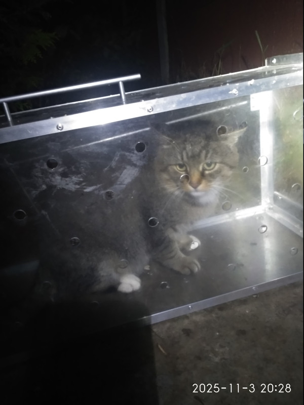 IMG 20251103 202855 HHT