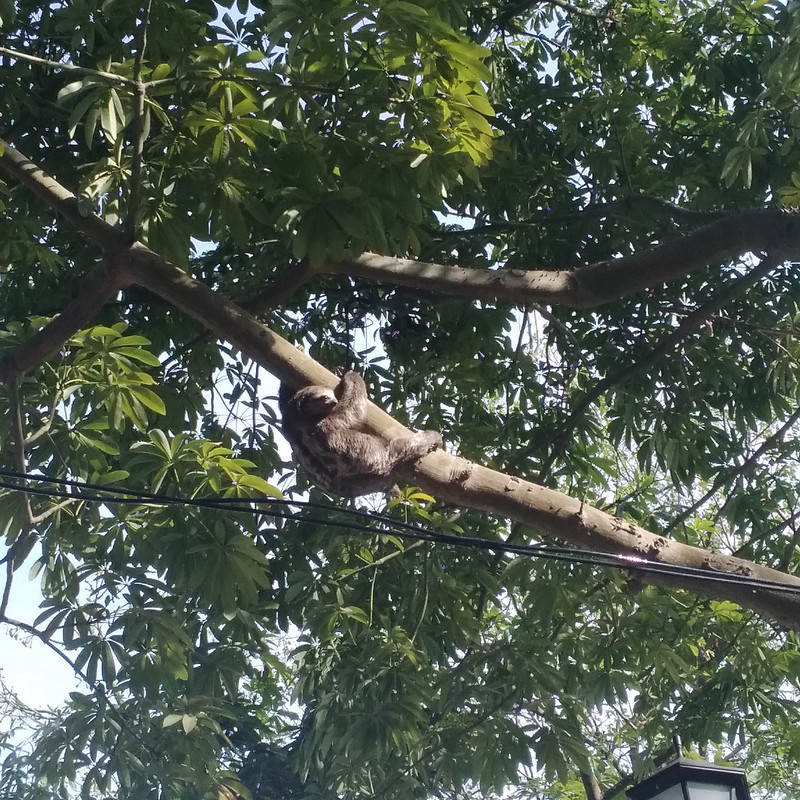 Зимовка 2026, полтора месяца в Колумбии.