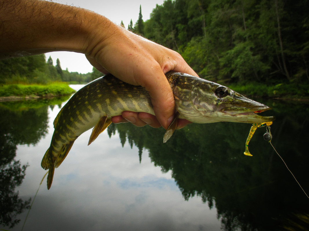 без имени-43