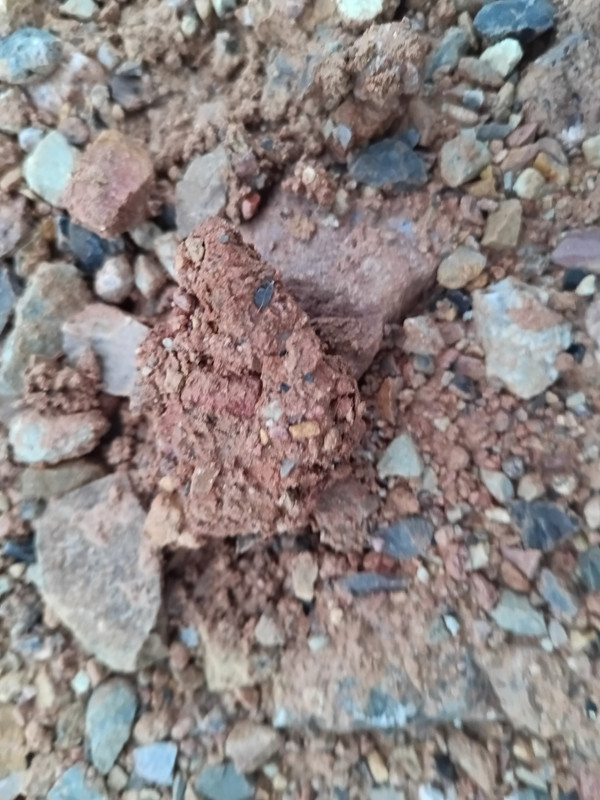 IMG 20251207 153338 175