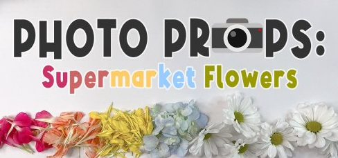 Photo Props: Supermarket Flowers 6 Ways to Enhance Your Artwork