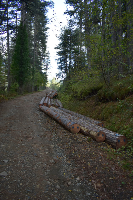 Βάλια Κάλντα (7)