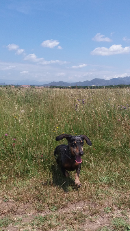 [Image: 20220530-124531.jpg]