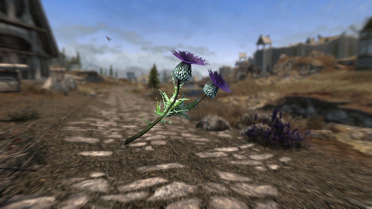 The-Elder-Scrolls-V-Skyrim-Special-Editi