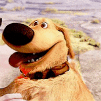 Dug-Squirrel30e0a5adc5497c732c71f543a2937d6a.gif