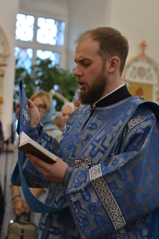 photo 2025 11 04 17 53 42