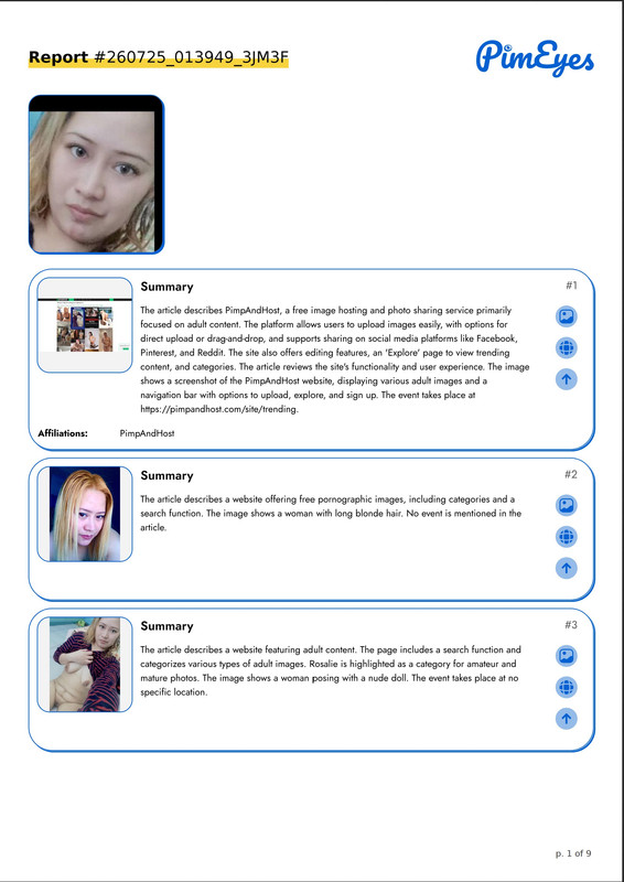 PimEyes Report