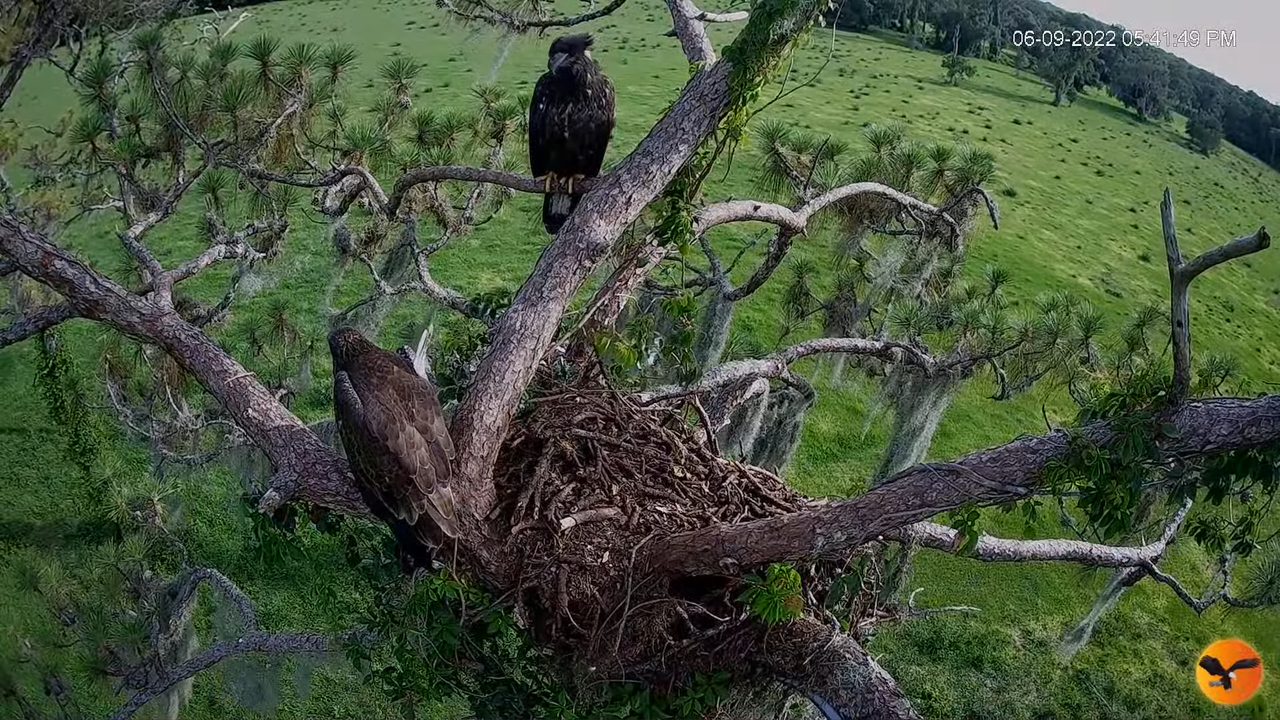 EC 4K Overhead Cam 12-39-4 screenshot