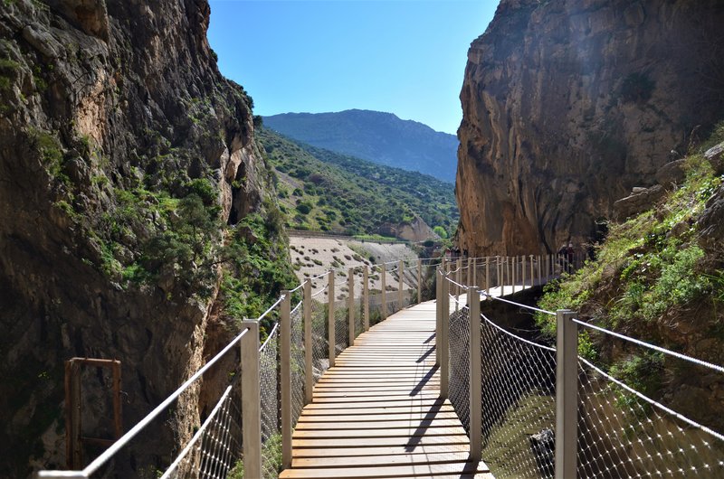 DESFILADERO DE LOS GAITANES (CAMINITO DEL REY)-8-3-2017 - Málaga y sus pueblos-2009/2017 (26)