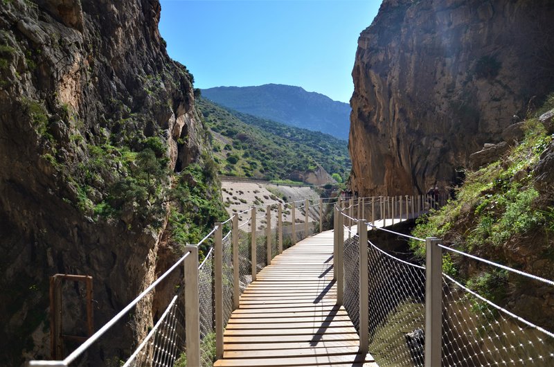 DESFILADERO DE LOS GAITANES (CAMINITO DEL REY)-8-3-2017 - MALAGA Y SUS PUEBLOS-2009/2017 (26)