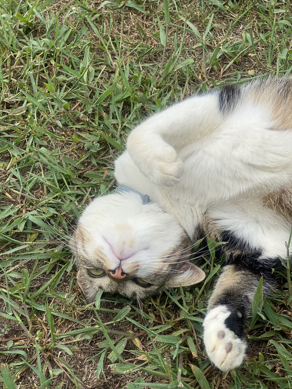 305B870C-D5EE-451F-885C-C95A7C5D8066