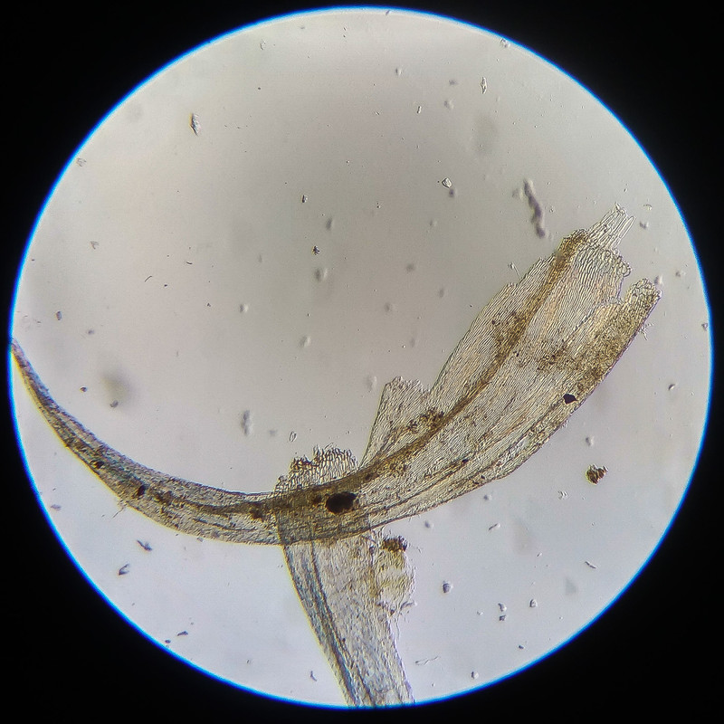 IMG 20250614 122225 HDR