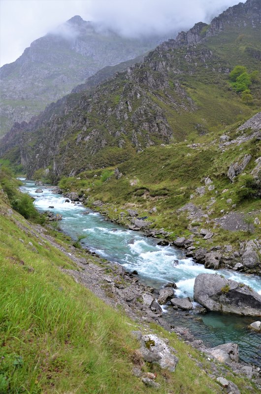 PICOS DE EUROPA-16-5-2013-LEON/ASTURIAS/CANTABRIA - Paseando por España-1991/2016 (51)