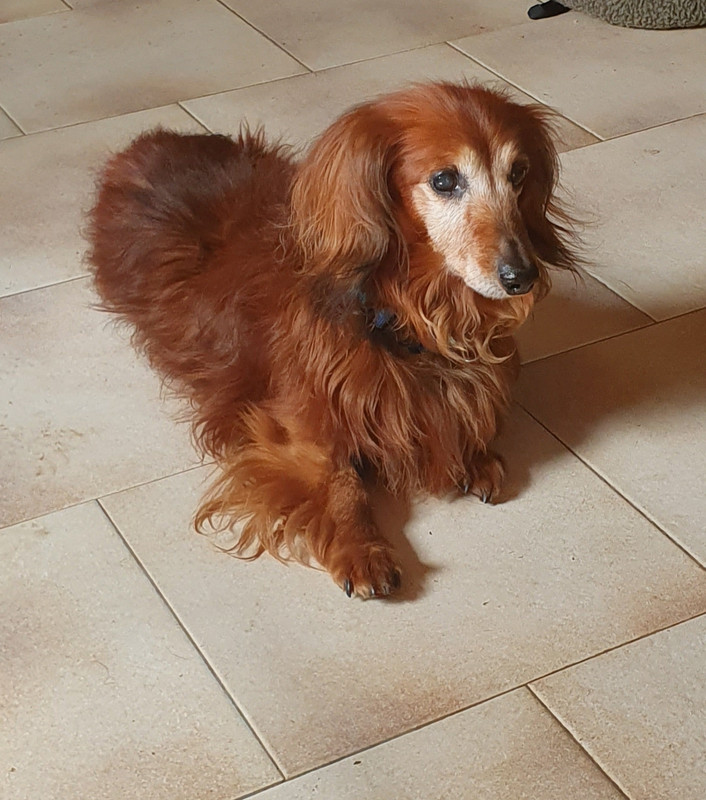 [Image: 20210414-153551.jpg]