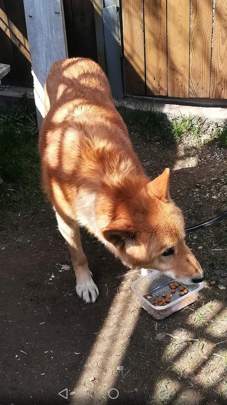 изображение_viber_2020-04-23_13-58-58