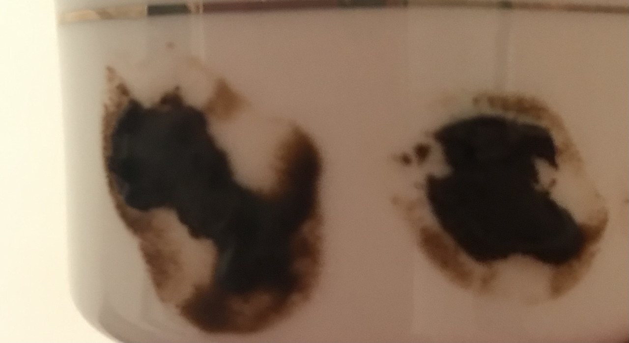 564010EE-B6BB-484D-9EC9-776B07ED8CE3