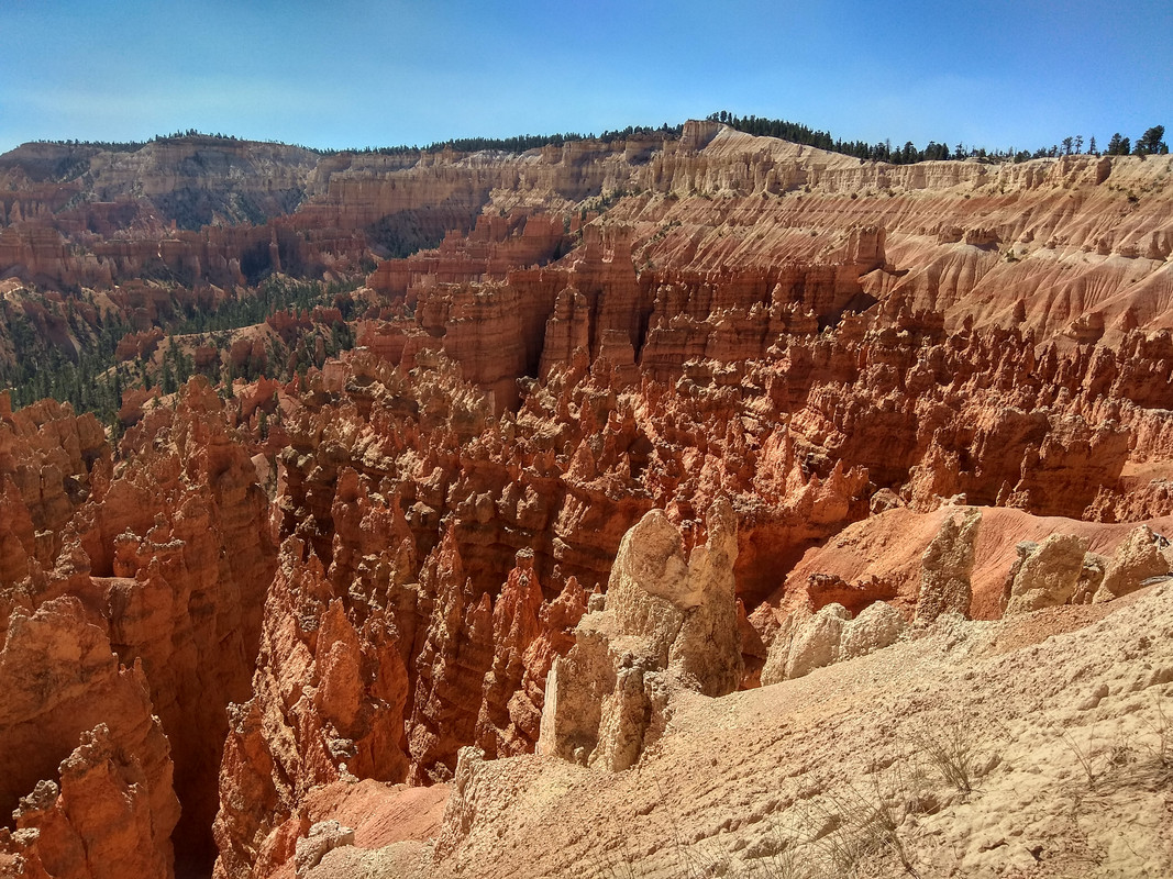 IMG_20180914_111931_HDR