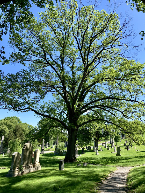 7914A0DB-B1E5-404E-A5CA-DDD200297639