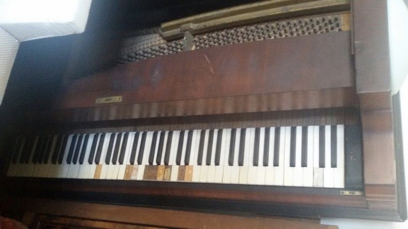 003D0456-B714-418E-89F0-F358FBDA3996