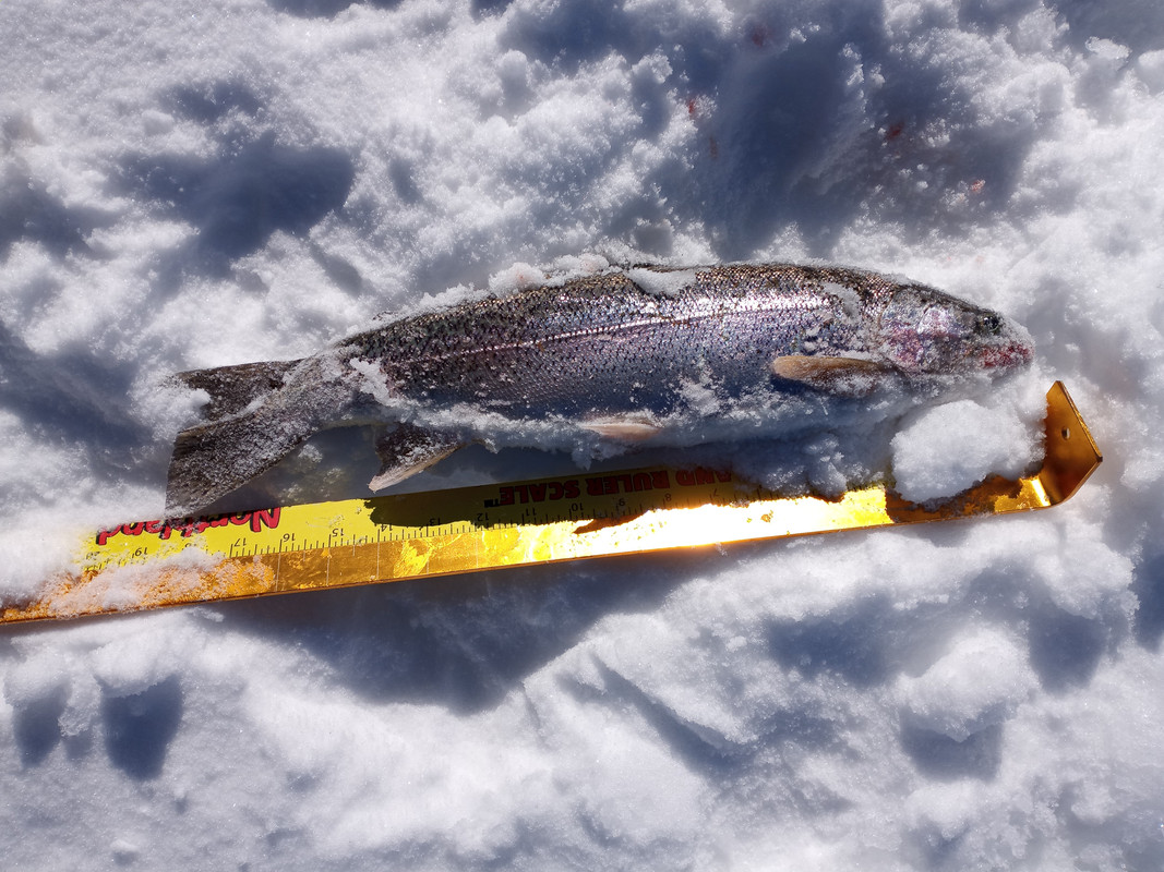 20210302_093748[1]