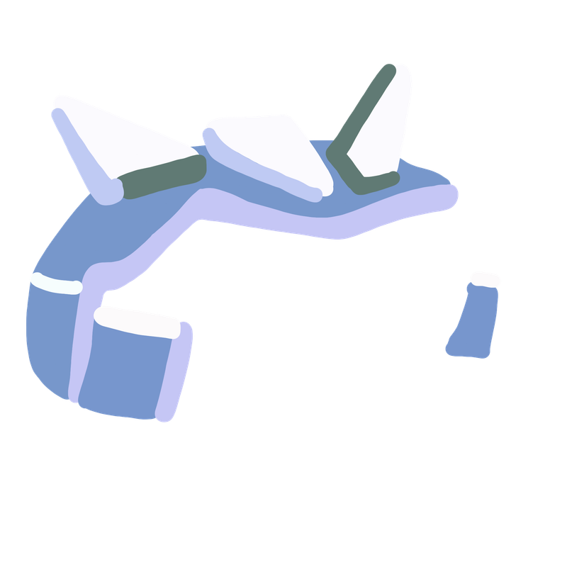 asset