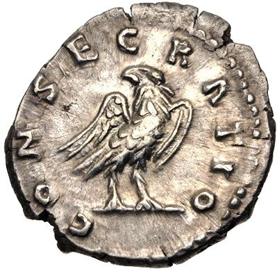 Denario de Septimivs Severvs. CONSECRATIO. Águila sobre orbe. Roma. 6192852