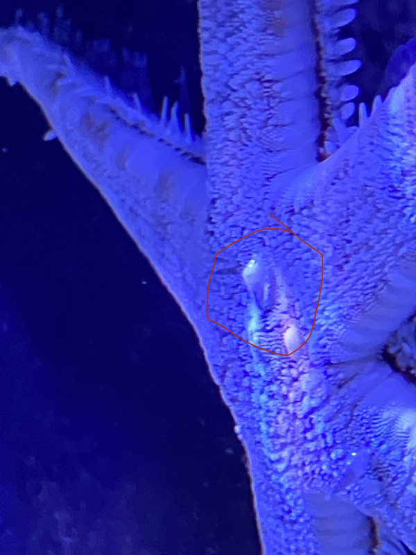 28F27AAE-400B-4F10-85C2-3DC395A85771