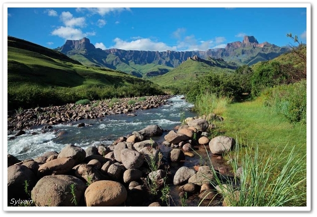 afrika