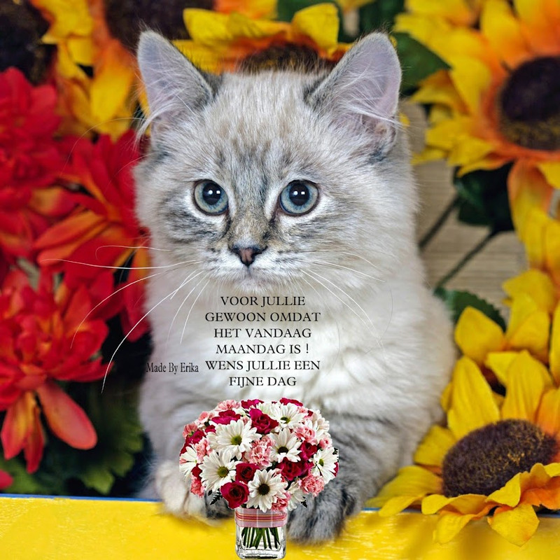 05CAD530-4772-4227-90C7-D5158F57BA3F