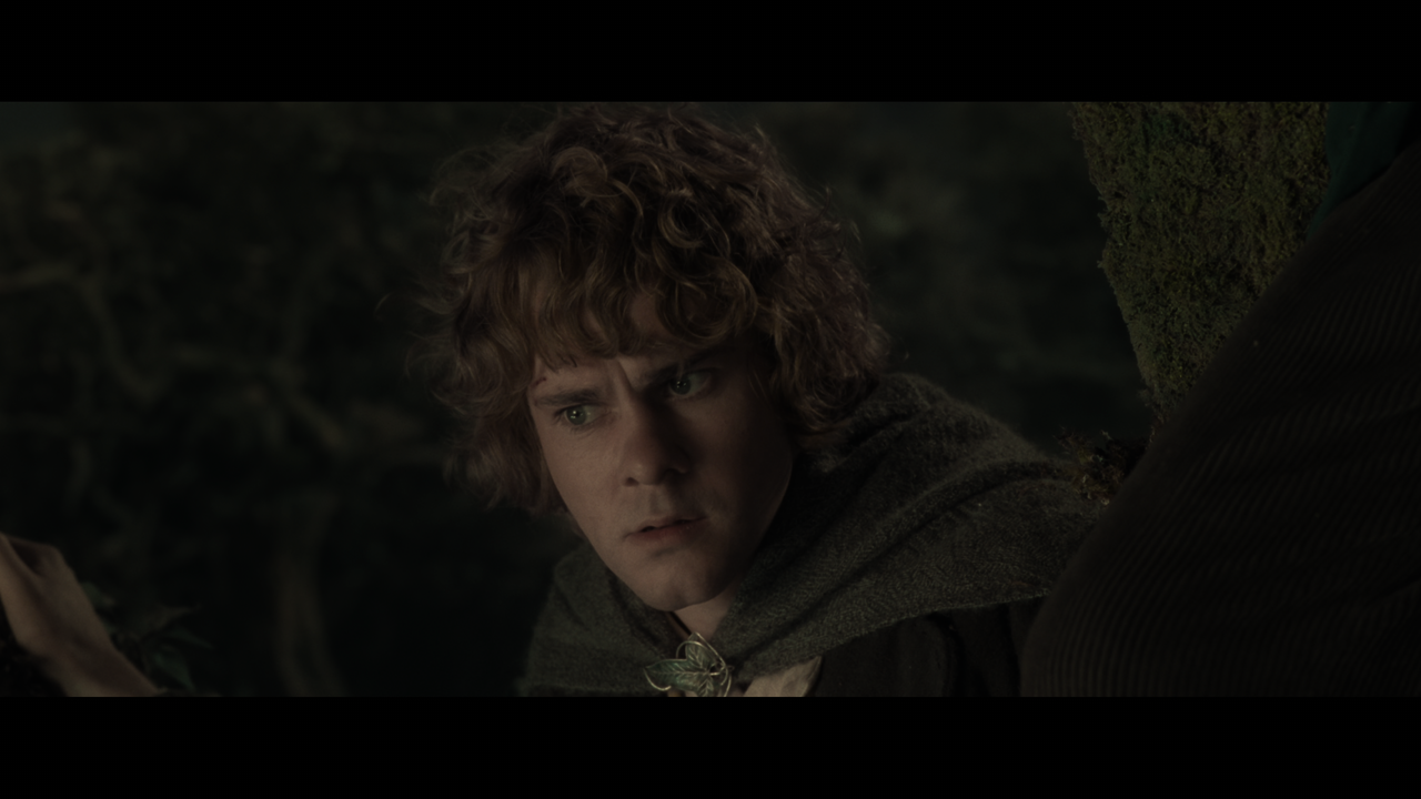 The Lord of the Rings- The Two Towers (EXT.) PT. 2.mkv_snapshot_01.22.43_[2020.12.11_21.45.21]