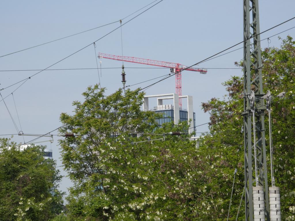 P1020071.jpg