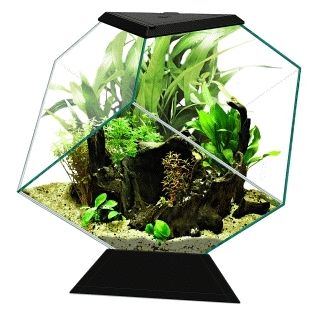 aquarium-nexus-pure-diamond-14c-noir-14-litres-1573804-1
