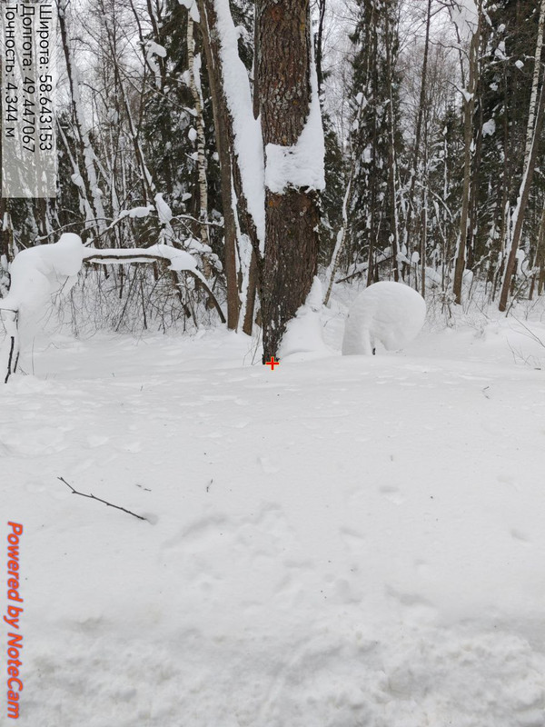 photo 2026 02 20 20 18 05