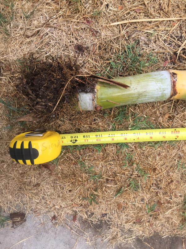 DA681CF5-E112-4E10-B9CD-9B02A455E328