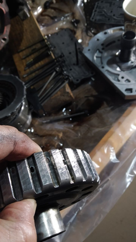 photo_9_2024-05-20_19-54-25