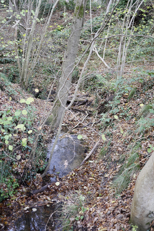 E99A9A04-9F78-4F51-99B9-EDDE05225AA1