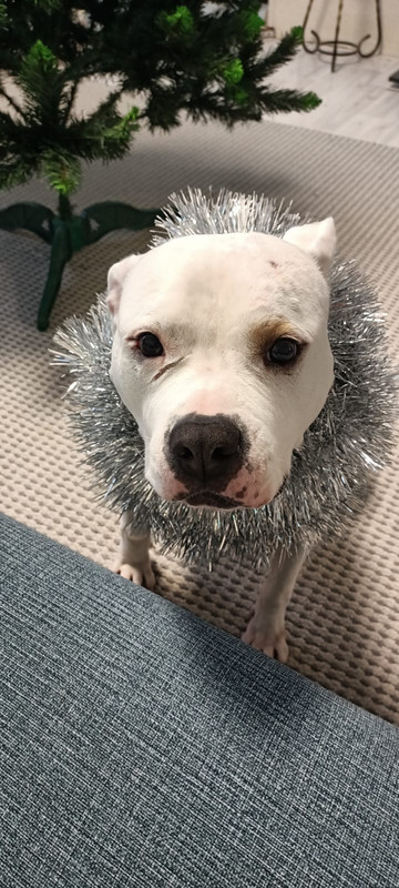 CC3CD9DE-802C-47D5-A1A6-E03260EED025