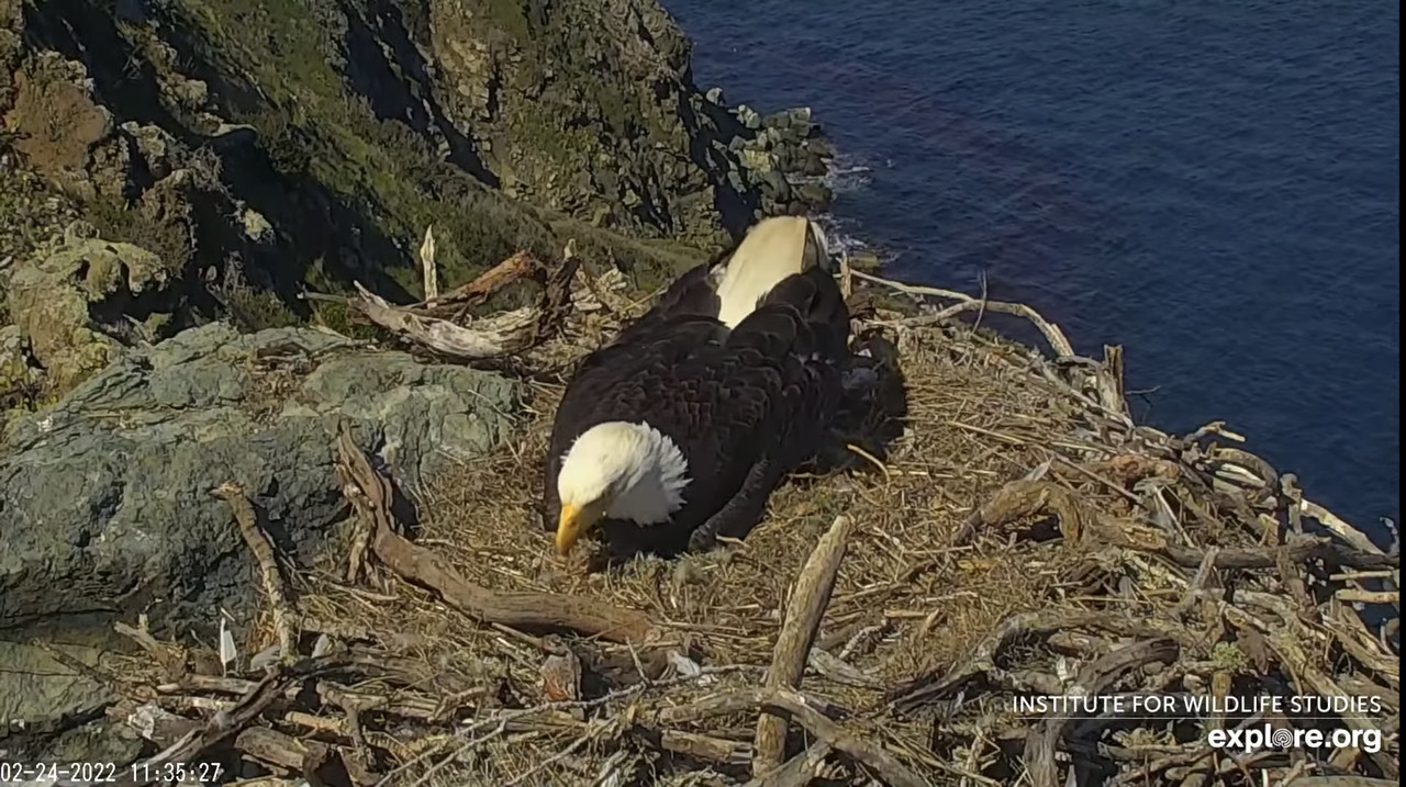 F57A4A54-A6D9-41F0-A697-C0C82B24D017